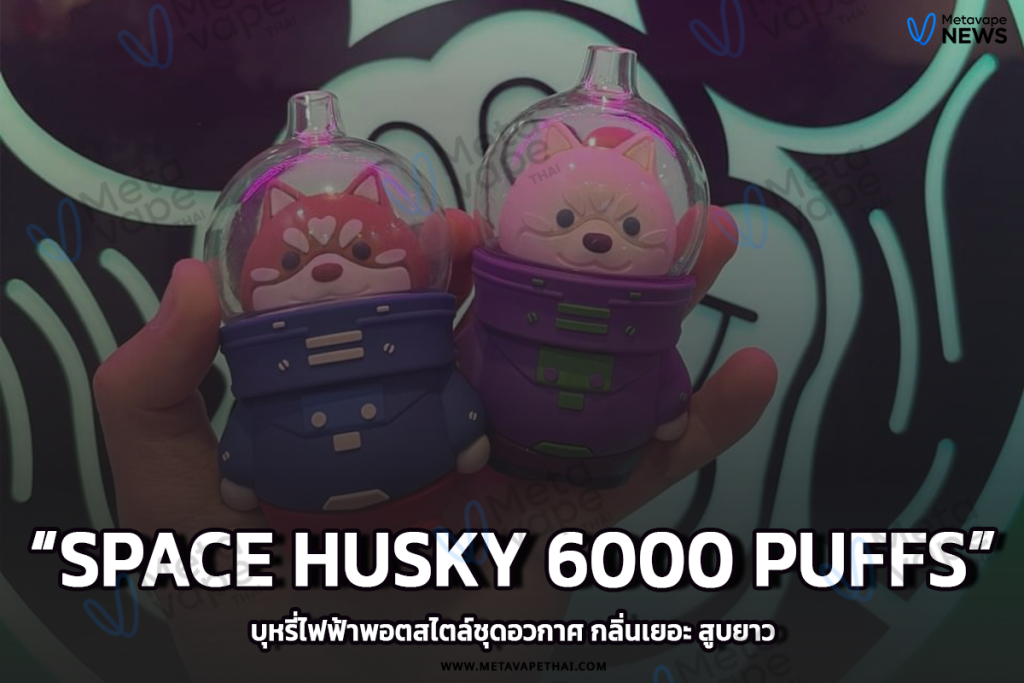 SPACE HUSKY 6000 Puffs